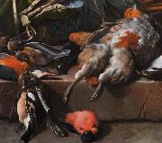 Melchior de Hondecoeter Still life with birds oil painting on canvas